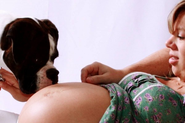 foto-embarazada-y-perro