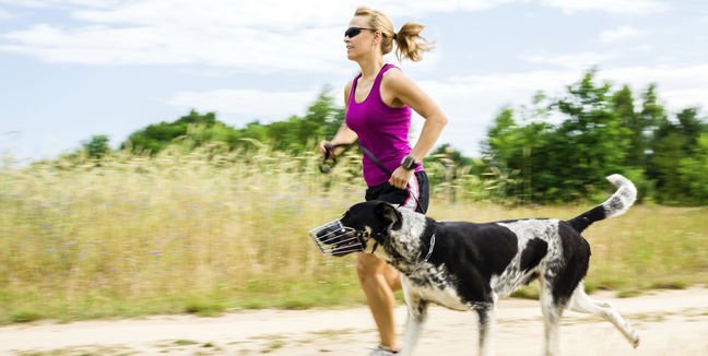 perro-mascota-correr-running-getty_MUJIMA20121226_0004_31