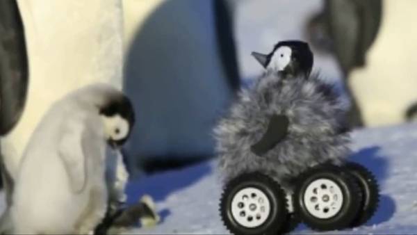 Robot-pinguino-investigar-comportamiento-Antartida_CLAVID20141104_0009_34