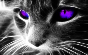 monster-energy-purple-vectore-cat-wallchan-1534397