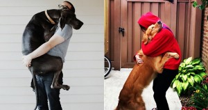 fotos-perros-abrazando-humanos
