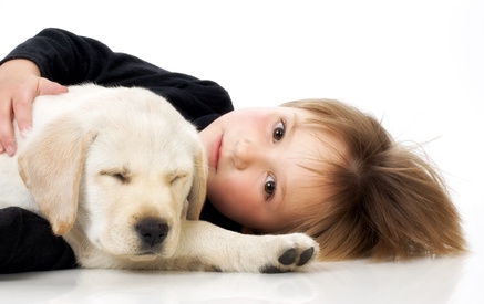 Child with Labrador retriever puppy