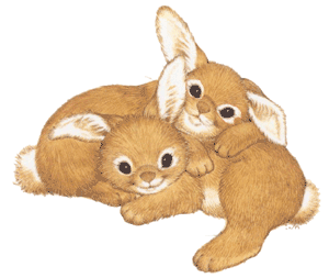 gifs-animales-conejos