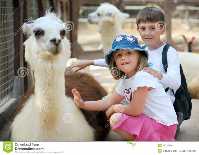 niños-y-animales-en-el-parque-zoológico-13036574