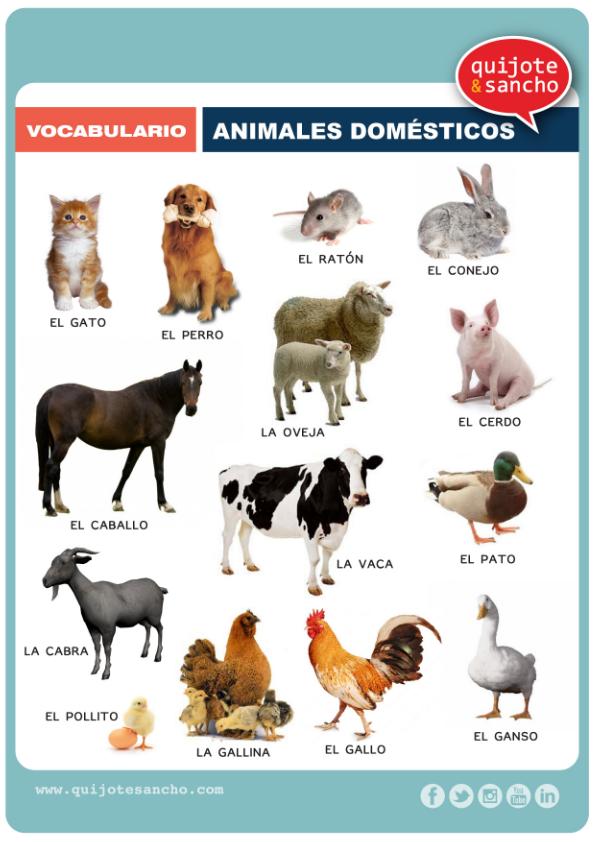 Láminas-para-trabajar-el-vocabulario-campo-semántico-animales-domesticos