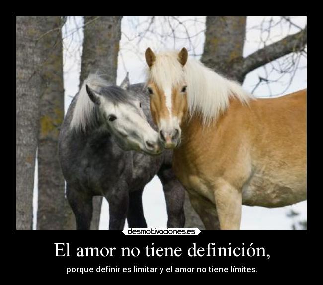 Imagenes-romanticas-con-caballos-7
