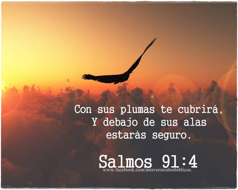 Salmo 91, 4
